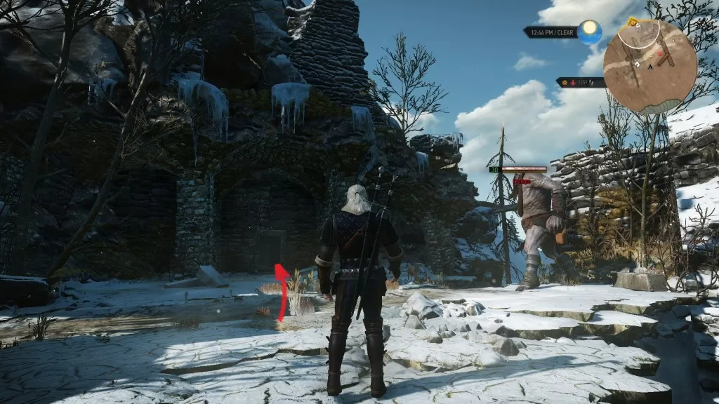 Witcher 3 Cyclops Cave Skellige Place of Power