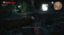 Witcher 3 Cyclops Cave Skellige Place of Power