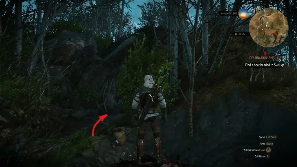 Witcher 3 Enhanced Griffin Gauntlets