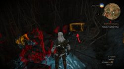 Witcher 3 Enhanced Griffin Gauntlets