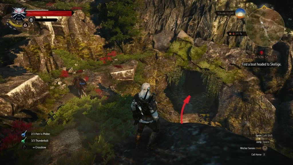 Witcher 3 Enhanced Griffin Silver Sword