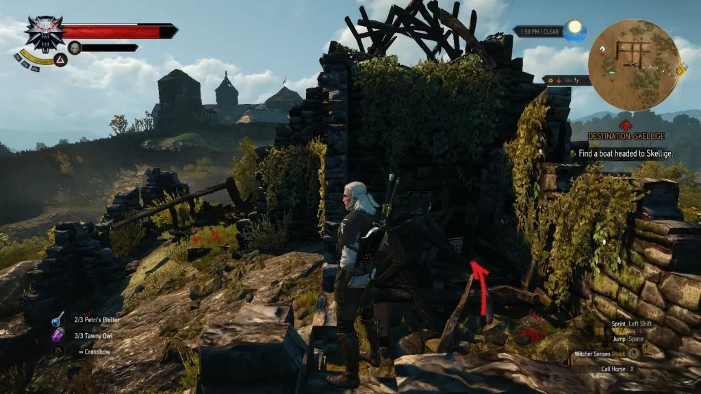 Witcher 3 Enhanced Griffin Trousers