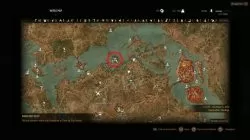 Witcher 3 Griffin Steel Sword Diagram Location