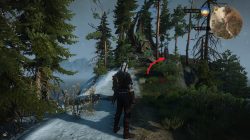 Witcher 3 Skellige Isles Place of Power