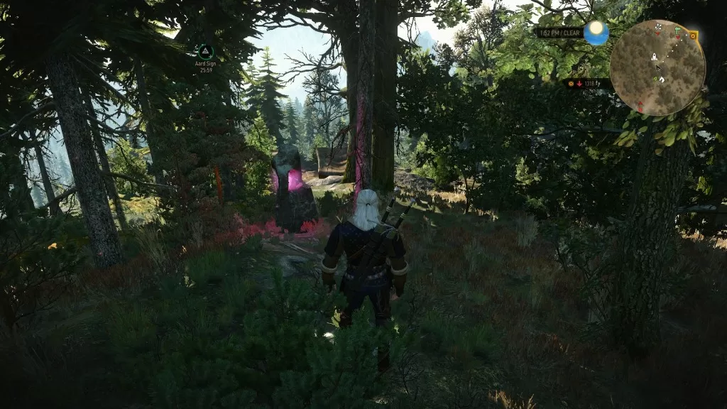 Witcher 3 Skellige Morskogen Fores Place of Power