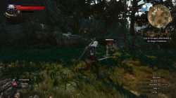 Witcher 3 Velen Place of Power