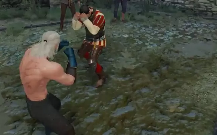 witcher 3 brawl master