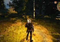 how to rebind keys in the witcher 3
