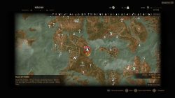 place of power south west velen map