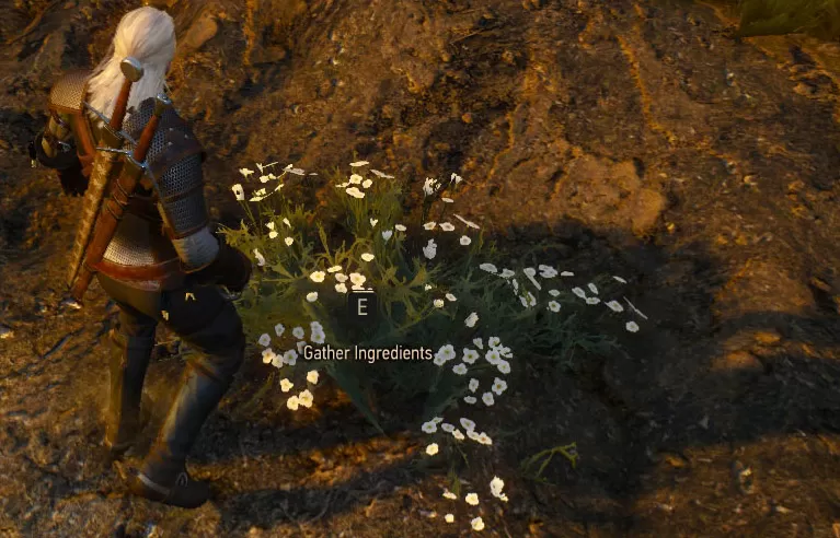 witcher 3 arenaria