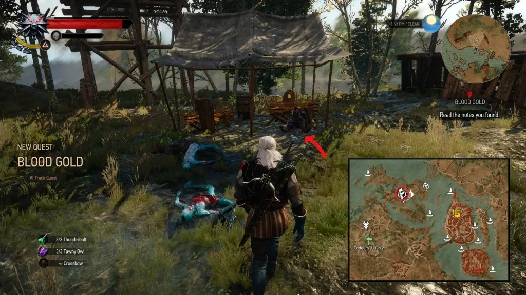 witcher 3 blood gold 1