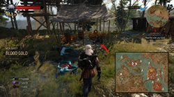 witcher 3 blood gold 1