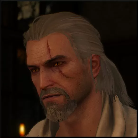 witcher 3 bushy goatee