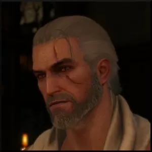 witcher 3 elven rebel cut