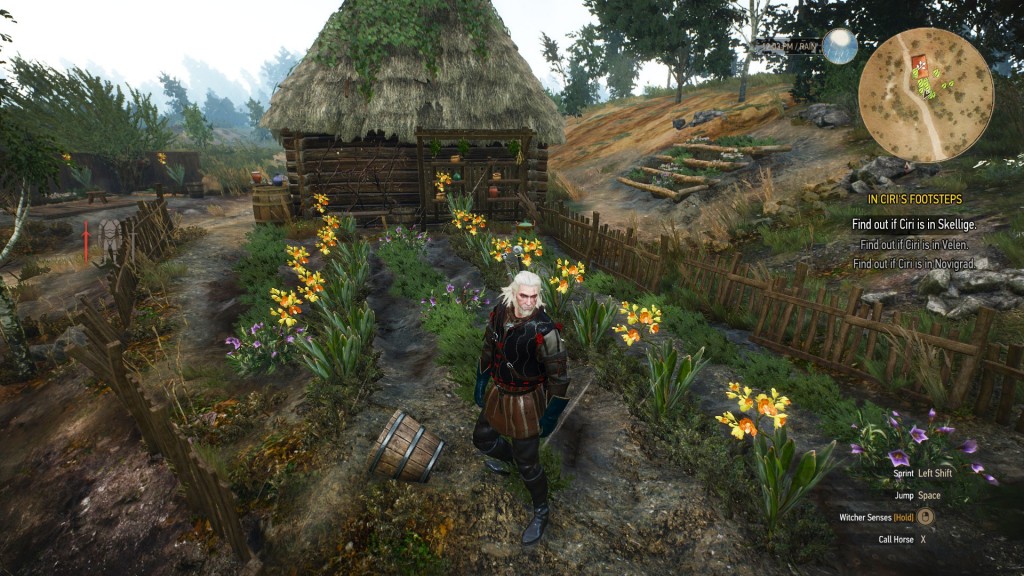 herb locations witcher 3