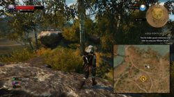 witcher 3 hidden from the world 1