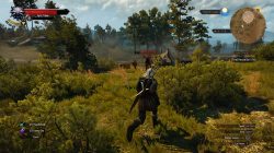 witcher 3 hidden from the world 2