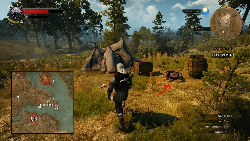 witcher 3 hidden from the world 3