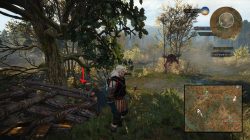 witcher 3 marshes treasure 1