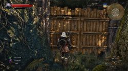witcher 3 marshes treasure 2