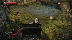 witcher 3 marshes treasure 3