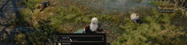 witcher 3 marshes treasure 3