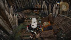 witcher 3 marshes treasure 4