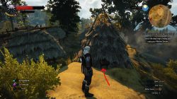 witcher 3 out of the frying pan into the fire 3