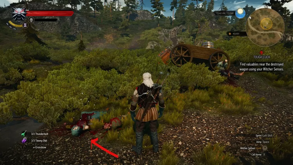 witcher 3 tough luck 2