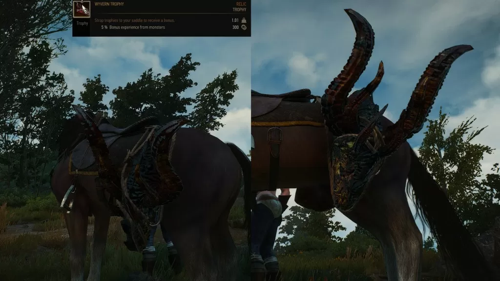 wyvern monster trophy witcher 3