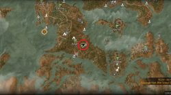 Witcher 3 Mastercrafted Wolf Armor Diagram Location