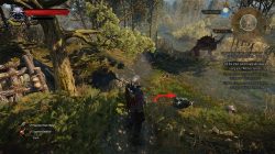 Witcher 3 Mastercrafted Wolven Silver Sword Diagram