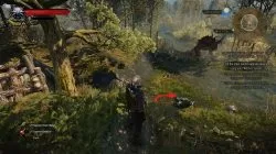 Witcher 3 Mastercrafted Wolven Silver Sword Diagram
