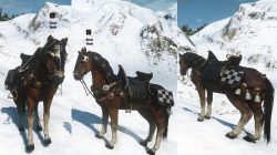 Witcher 3 Nilfgaardian Horse Equipment