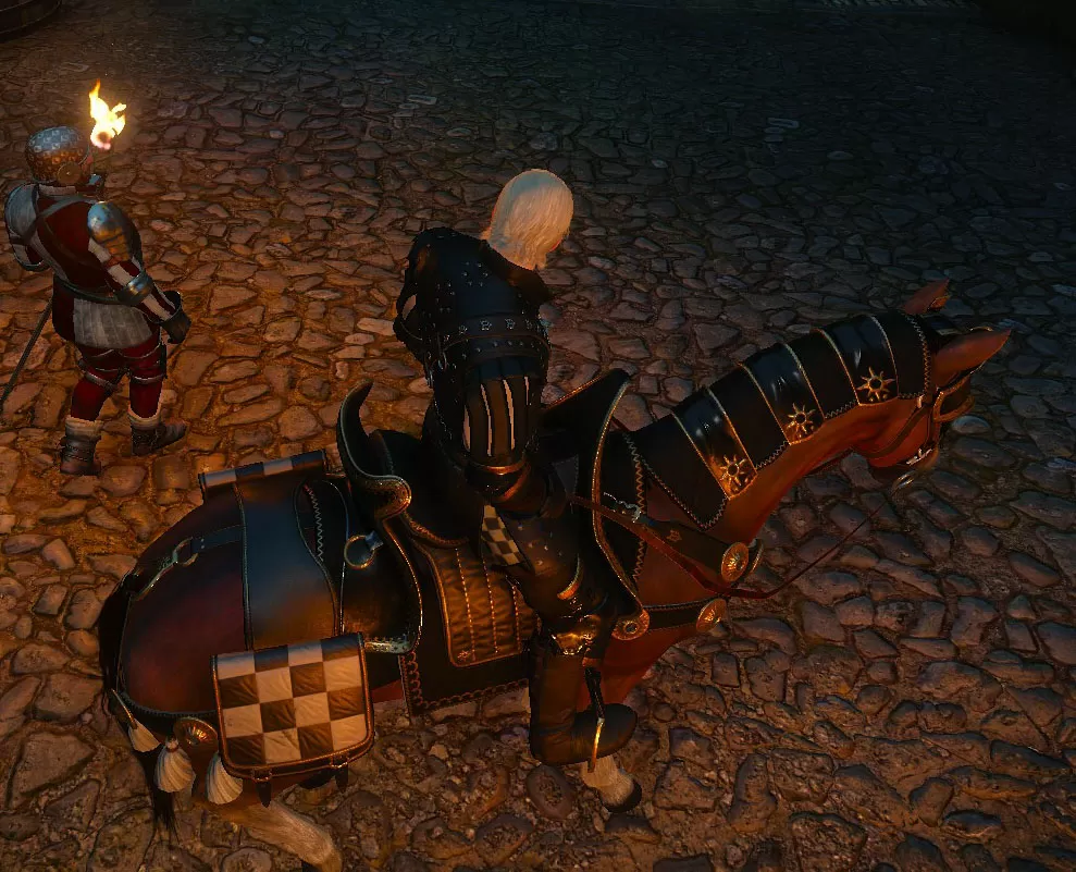 Witcher 3 Nilfgaardian Horse Equipment