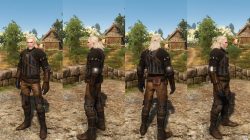 Witcher 3 Temerian Armor Set Looks