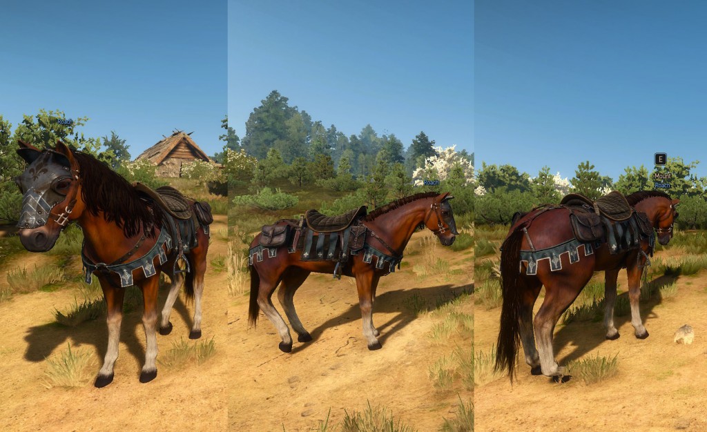 Witcher 3 Temerian Horse Equipment