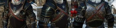 nilfgaardian guardsman heavy armor set