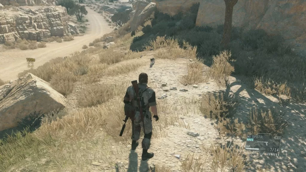 mgsv d dog location