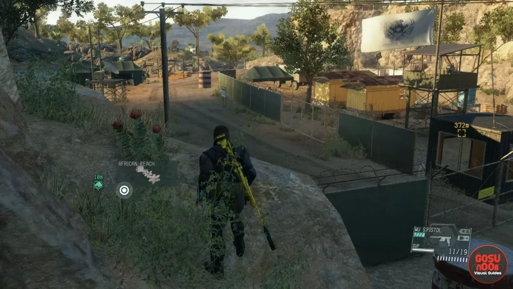 Metal Gear Solid 5 TPP Picked an African Peach