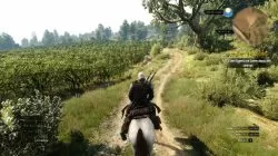 Hearts of Stone expansion