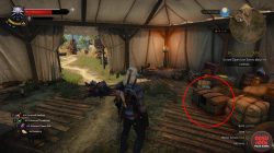 where to find ofieri armor witcher 3