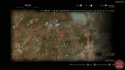 witcher 3 hearts of stone ofieri gear location