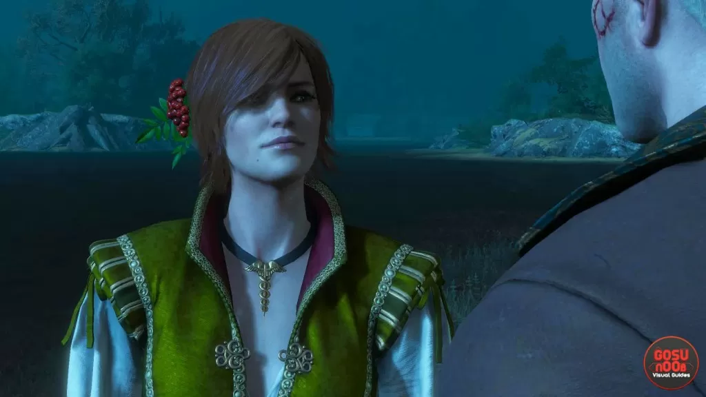 witcher 3 hearts of stone romance shani