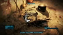 Bear Mascot Head Fallout 4