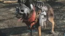 Dog helmet fallout 4