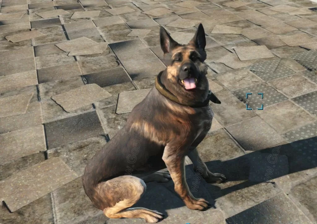 Fallout 4 dog colar