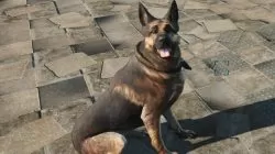 Fallout 4 dog colar