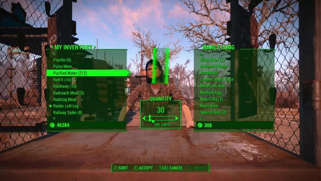 Fallout4 2015-11-17 19-03-11-942