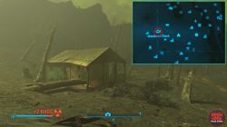 fallout 4 covert ops abandoned shack